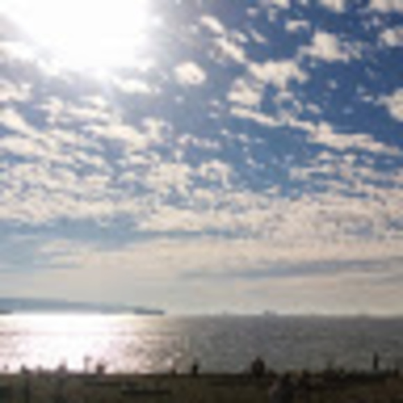 Meet your Posher, Audrey - Picture 1 of 1